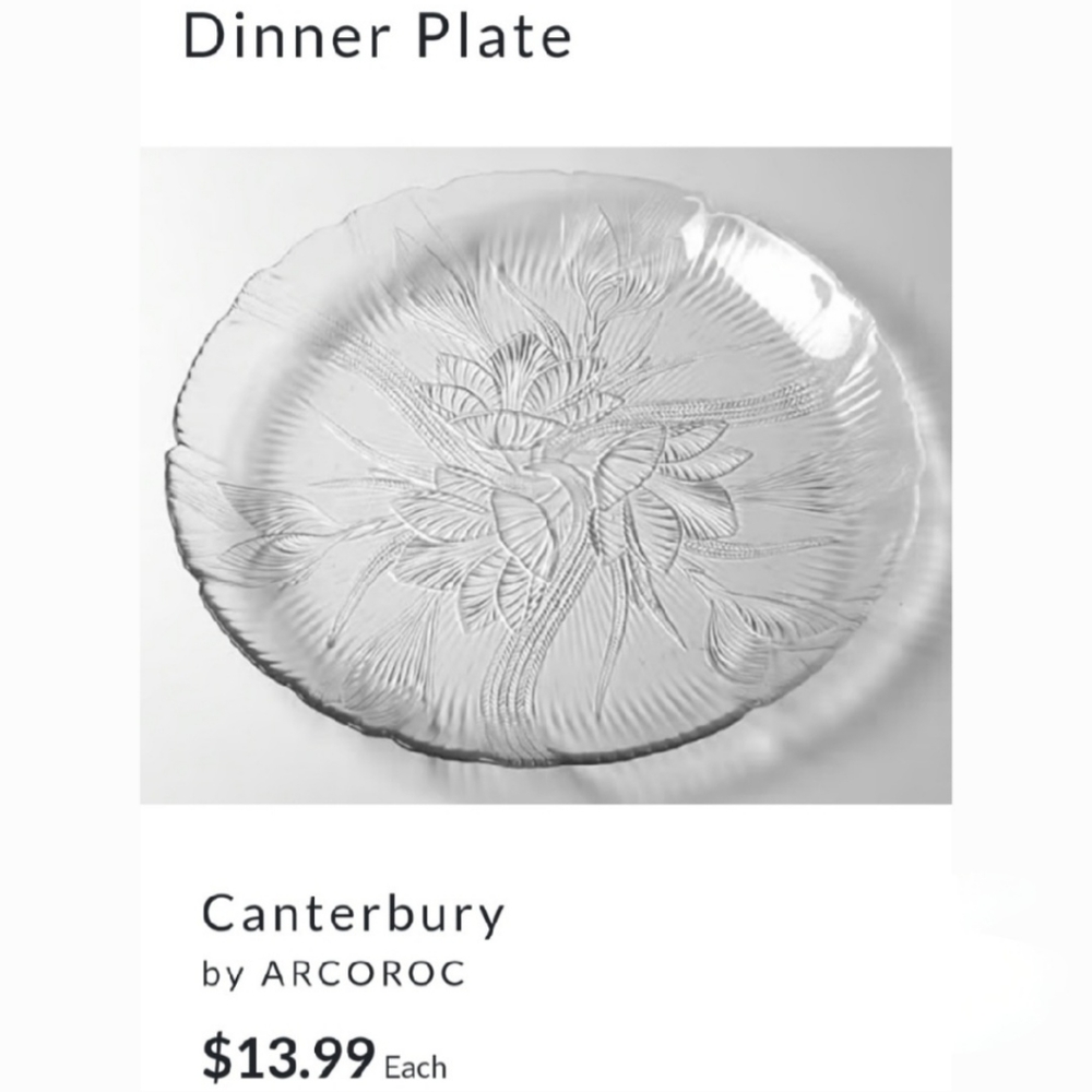 10 3/4" "Canterbury" Plate Excellent Condition by Arcoroc France 🇫🇷